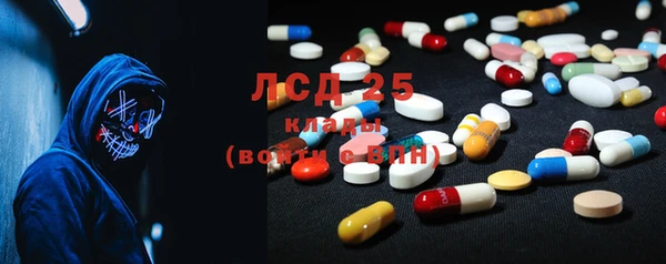 стафф Богданович