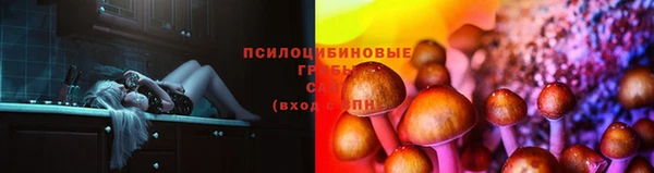 индика Магадан