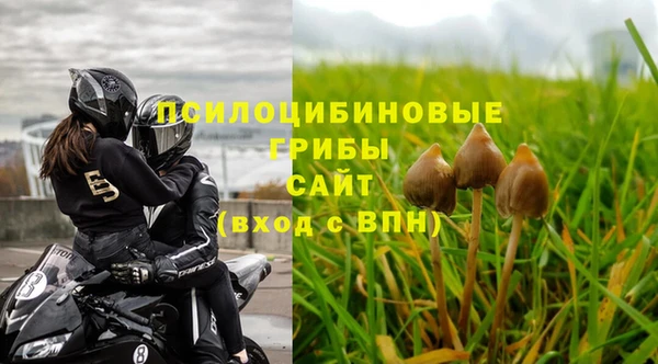 2c-b Магас